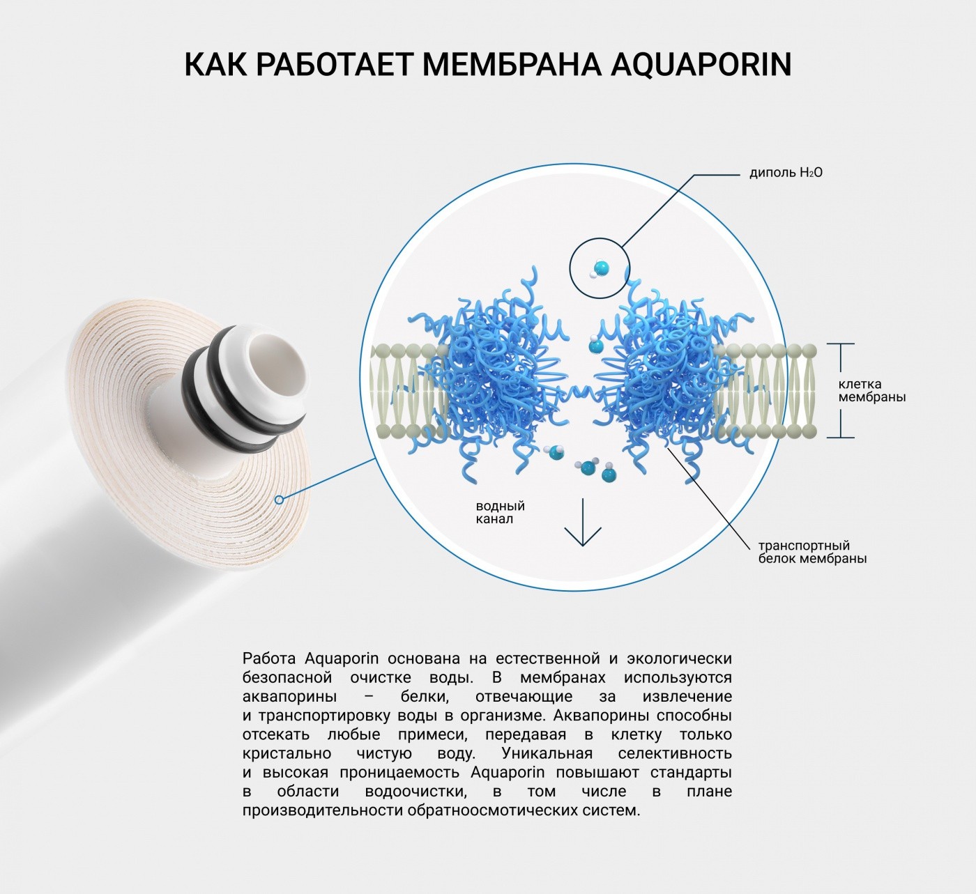 Aquaporin